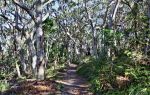 Noosa National Park