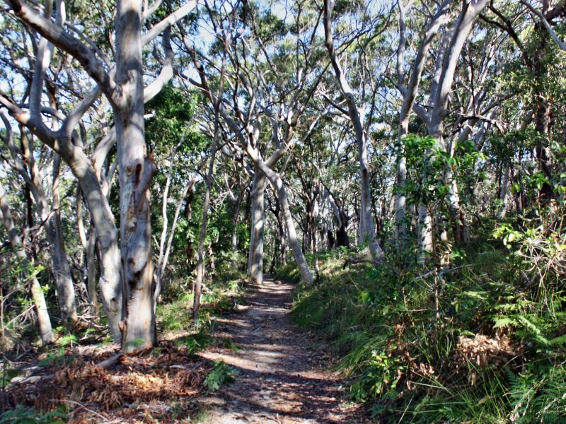 努沙國家公園