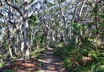 Parc national de Noosa