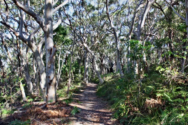 Madison Plaza Townsville