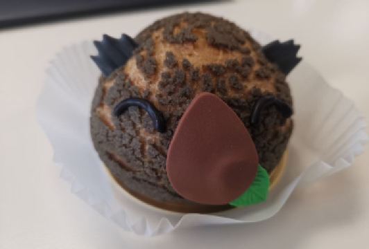 Rice To Riches User Photo