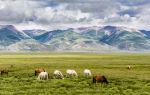 The Qilian Mountain Scenic Area