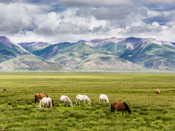 The Qilian Mountain Scenic Area