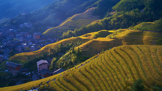 เทียนโทะซัง