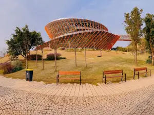 젠양의 인기 가을 경치