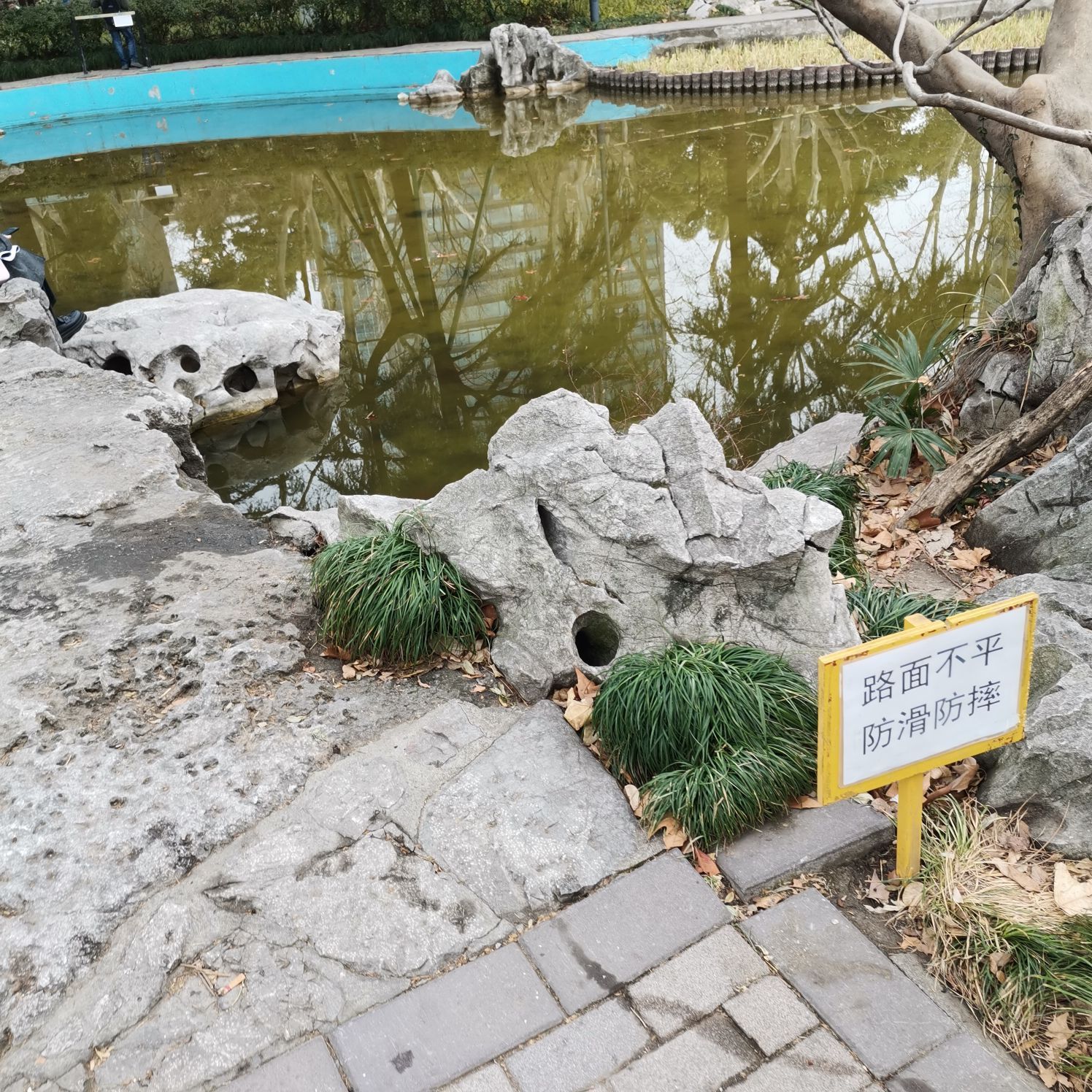 太子山公園旅遊攻略指南 太子山公園評價 太子山公園附近推薦 Trip Com 太子山公園旅遊攻略指南 太子山公園評價 太子山公園附近推薦 Trip Com