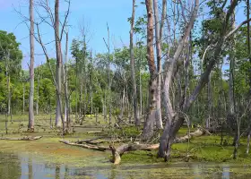 Xinghaibandao Wetland Park