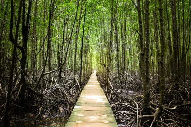 4-звездочные отели в г. Петалинг-Джая