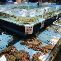 丽贝蒸鲜工坊 User Photo