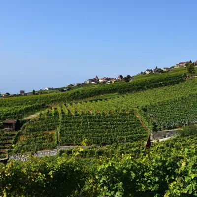 Отели с услугой Трансфер в/из аэропорта в г. Женева