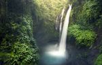 Akaka Falls State Park