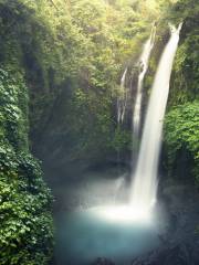 Akaka Falls State Park