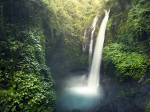 Parque estatal de las Cataratas Akaka