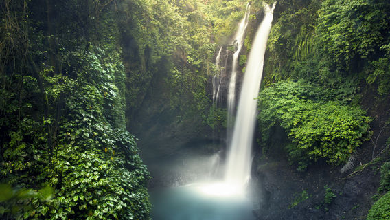 Akaka Falls State Park