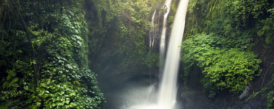Akaka Falls State Park