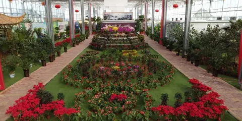 靖遠縣水岸三合旅遊景區