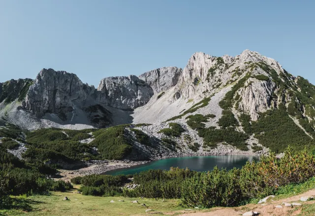 „Quarantäne-frei“ in den Sommer reisen (2021)