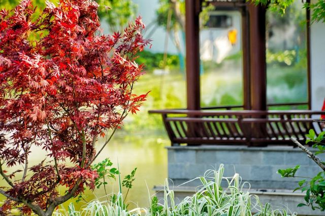 Tinglin Park