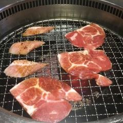 老井極上燒肉 User Photo