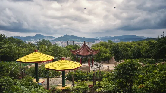 龍湖公園-動物園