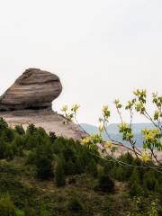 Toad Stone