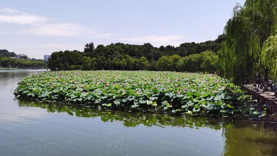 通濟橋是金華老橋，經過改造現在已經非常漂亮，橋兩邊燈光璀璨，