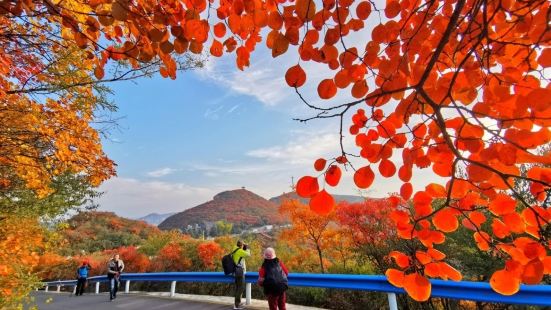 家鄉盛景 - - -青天河。既有一川碧水之靈秀，又具幽谷深峽