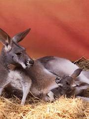 中山公園動物園