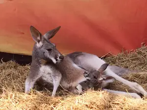 中山公園動物園