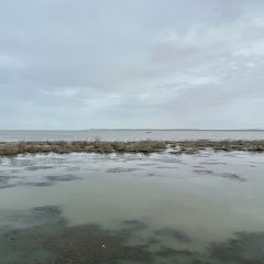 碧海农家野生鱼庄 ảnh của người dùng