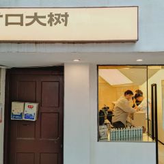 Cunkou Big Tree User Photo