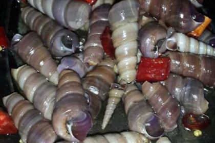 绿色海鲜馆(荣宏·金滩店)