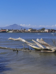 Riserva naturale Foce Volturno - Costa di Licola