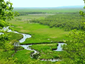 Kushiro Shitsugen National Park