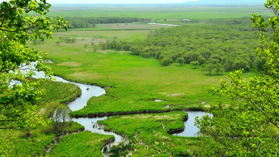 Kushiro Shitsugen National Park