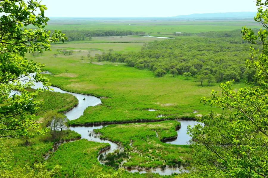 Kushiro Shitsugen National Park