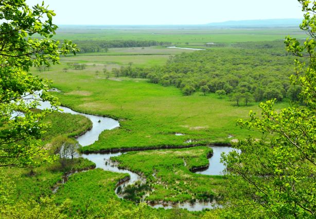Kushiro Shitsugen National Park