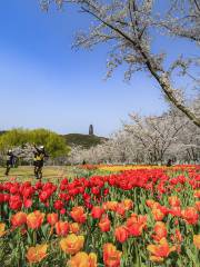 Fragrant Hills Park