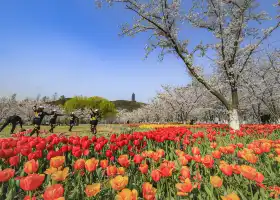 Пейзажный район Саншань (Jianghai South Road)