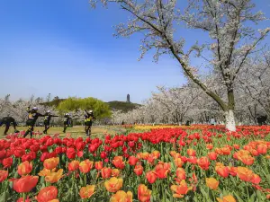 香山景区