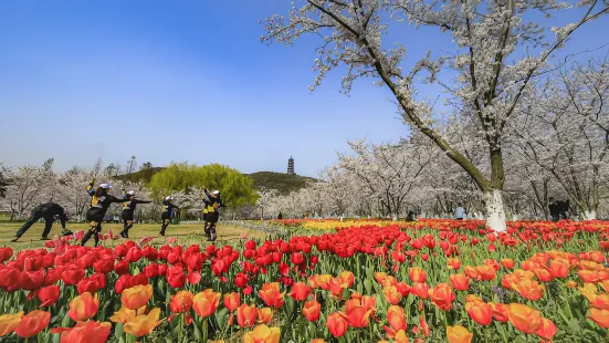 Fragrant Hills Park