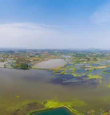 Echarm Properties in Daye