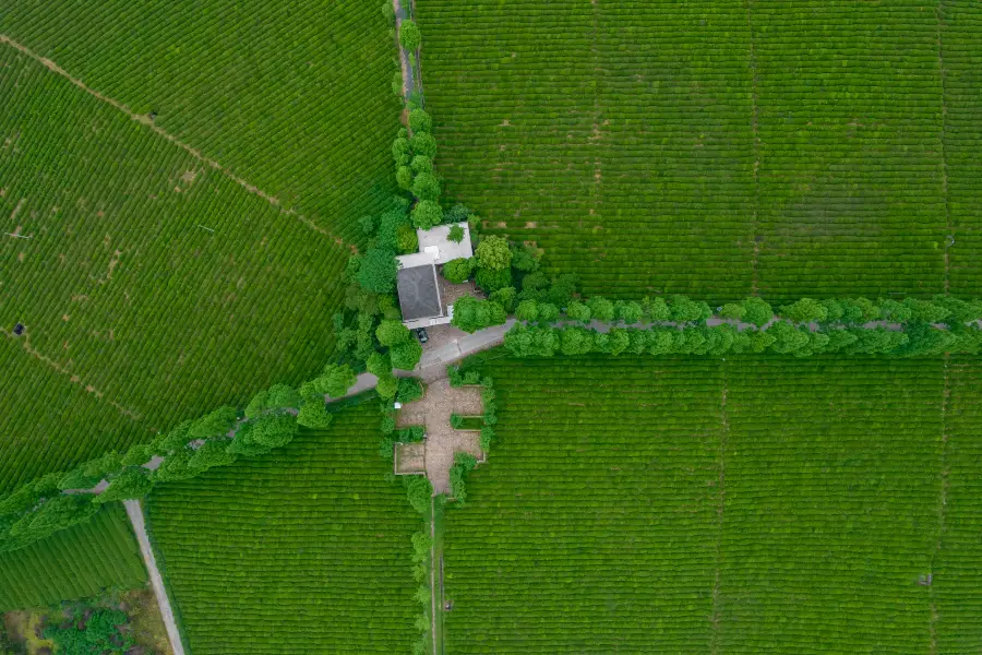 Yiyuan Organic Farm