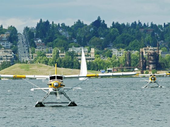 Seattle Seaplanes