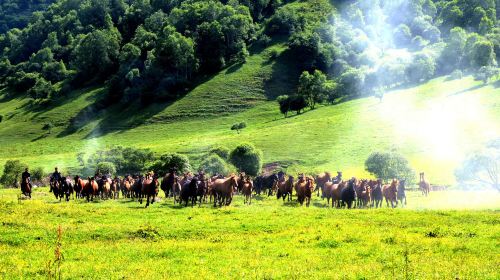 Guanshan Grasslands