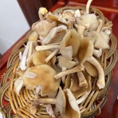 JUN CAI User Photo
