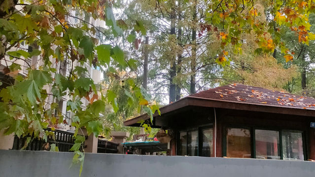 Stone City Ruins Park