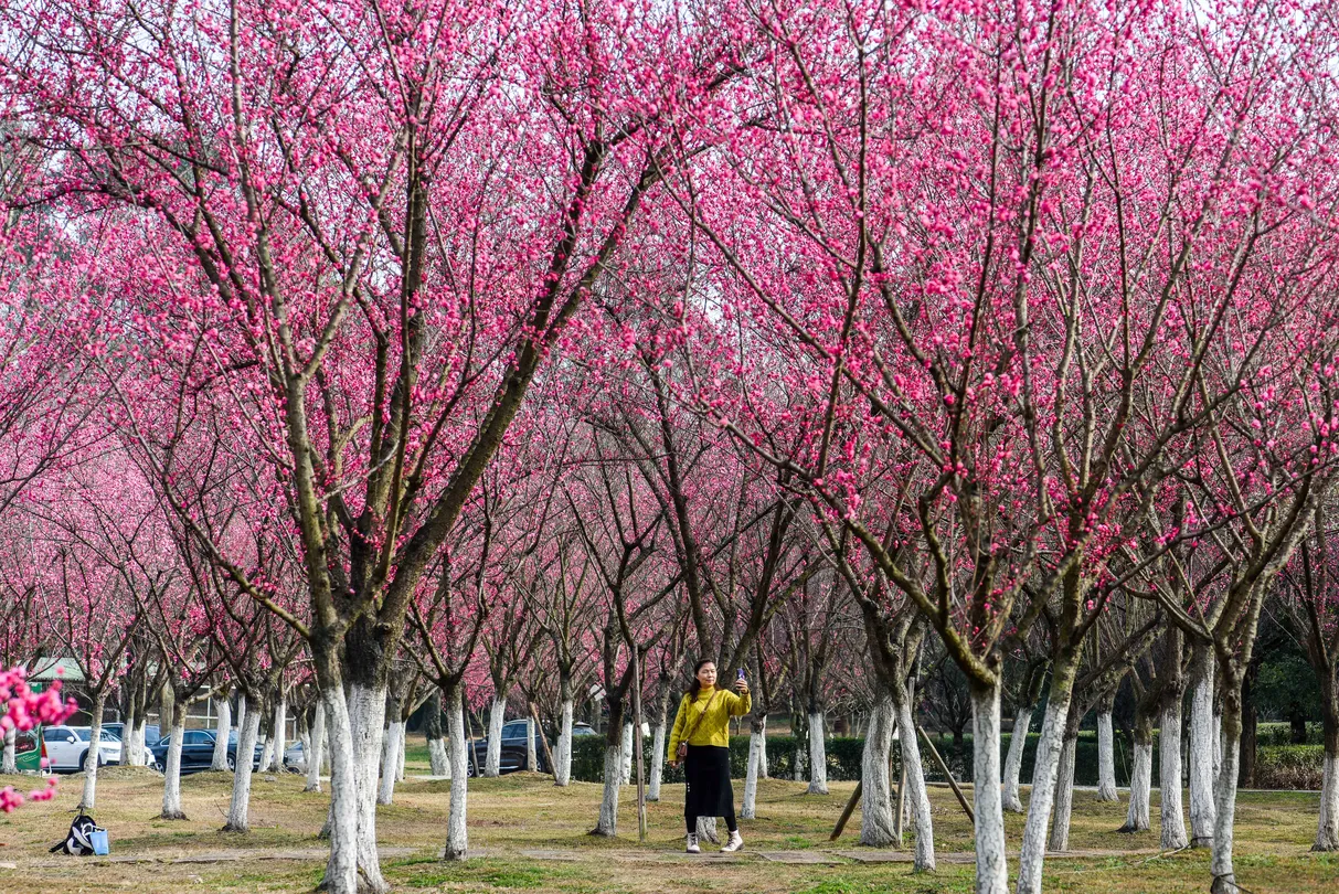 5_Oriental Beauty Park