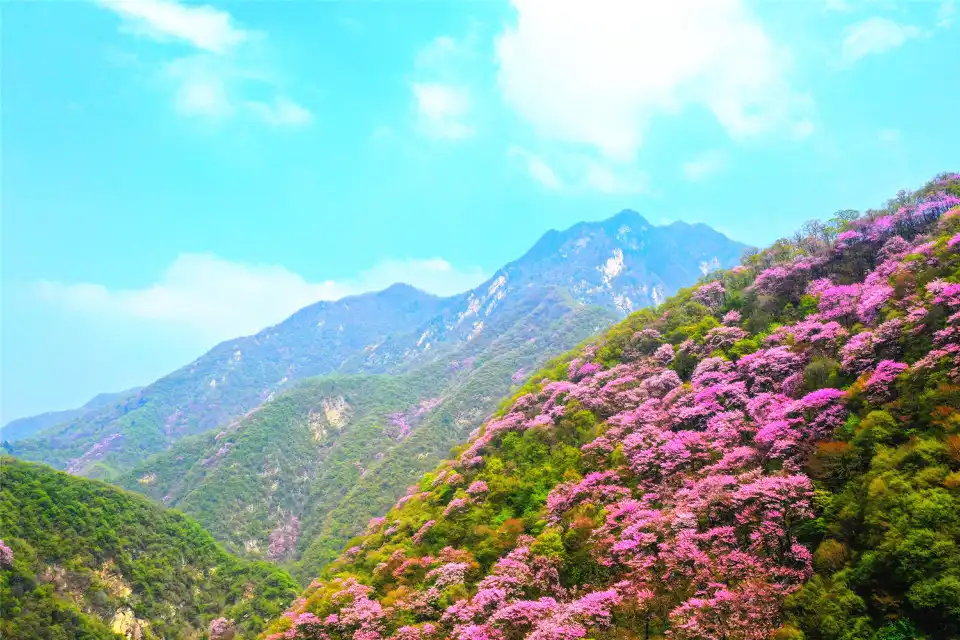 5_太平國家森林公園