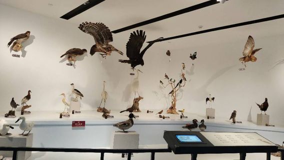 Longyan Geopark Museum